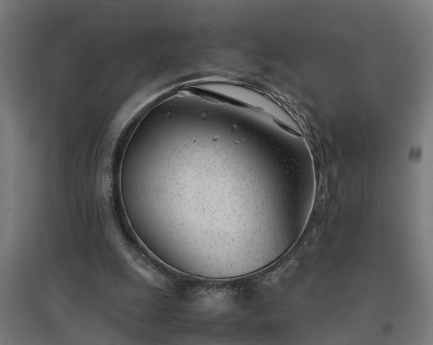 X0000094970247200712061434