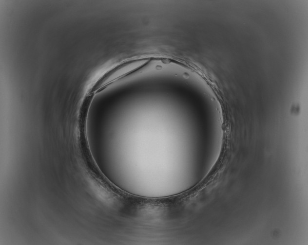 X0000094970248200712061434