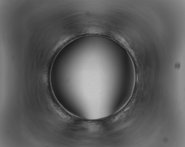 X0000094970249200712061434