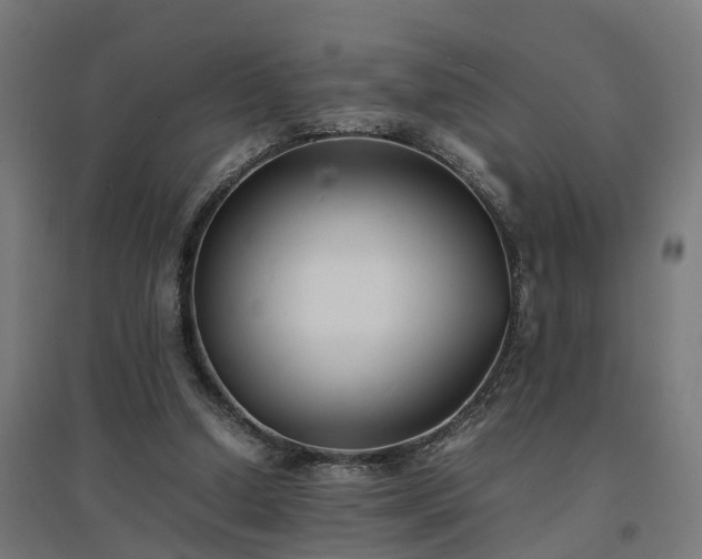 X0000094970250200712061434