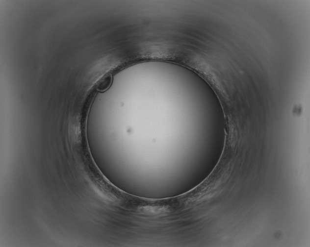 X0000094970251200712061434