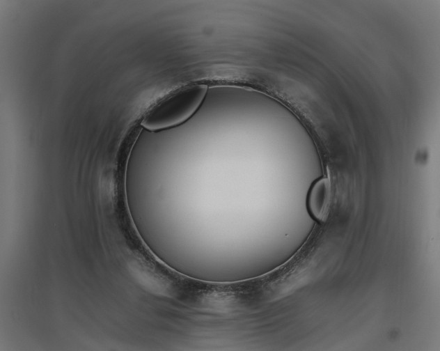 X0000094970252200712061434