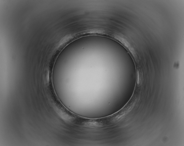 X0000094970253200712061434