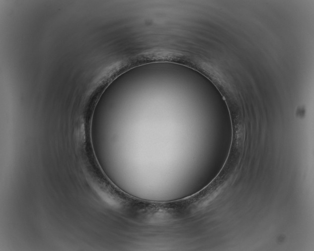 X0000094970254200712061435