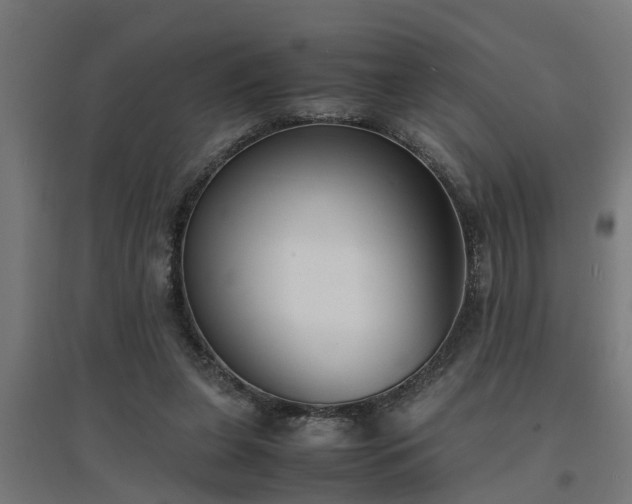 X0000094970255200712061435