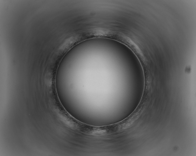 X0000094970257200712061435