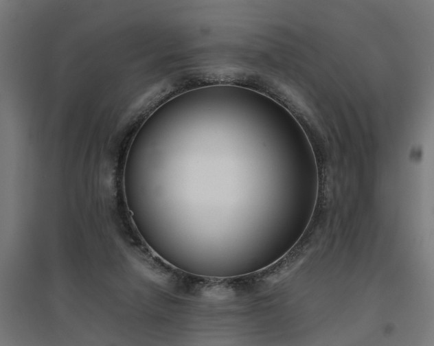 X0000094970258200712061435