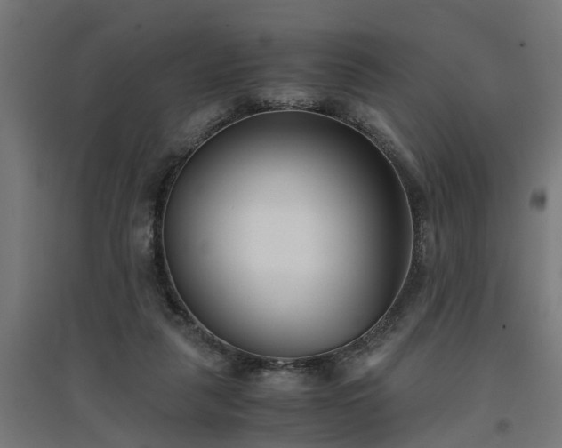 X0000094970259200712061435