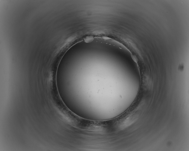 X0000094970260200712061435