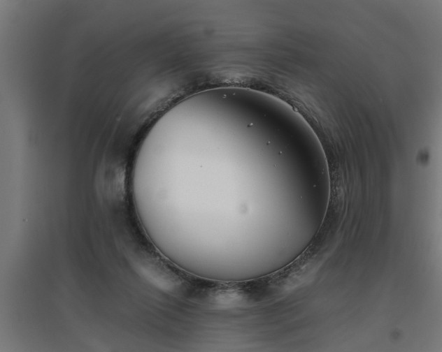 X0000094970262200712061435