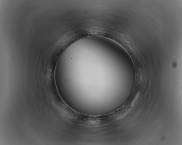 X0000094970263200712061435