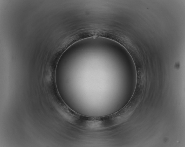 X0000094970266200712061435