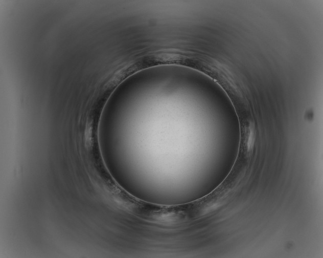 X0000094970267200712061435