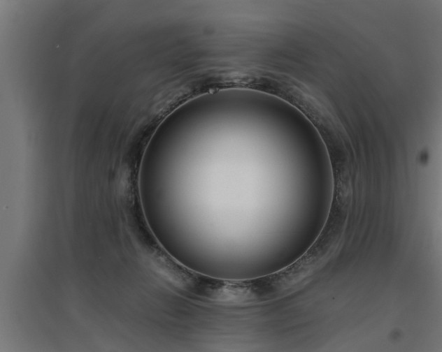 X0000094970270200712061435