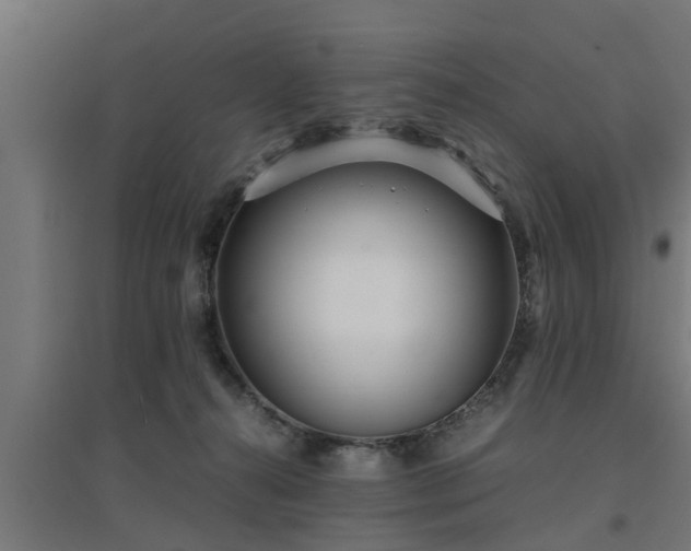 X0000094970272200712061435