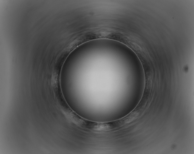 X0000094970274200712061435