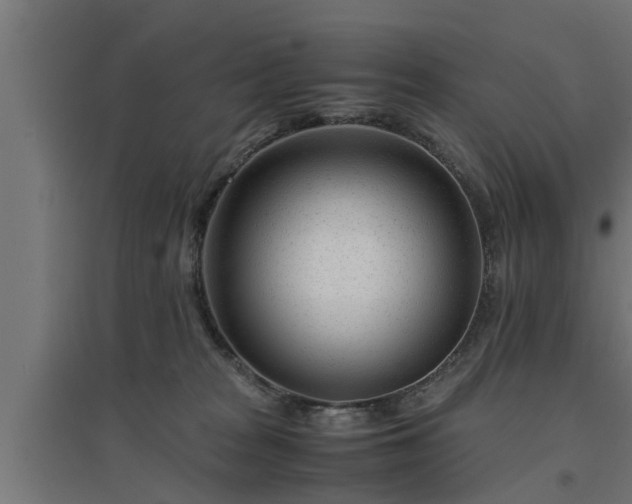 X0000094970277200712061435