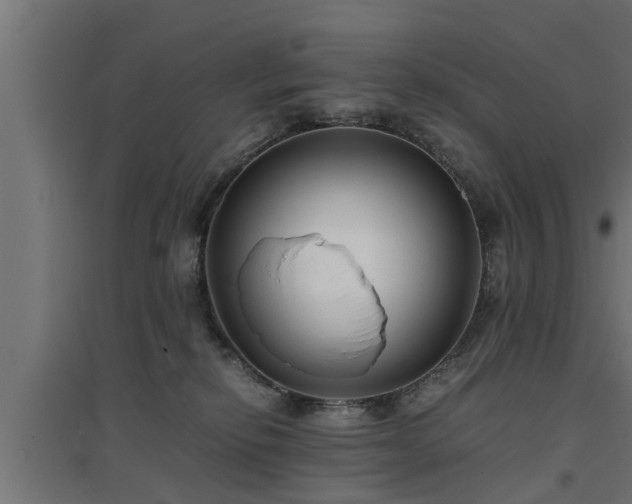 X0000094970278200712061435