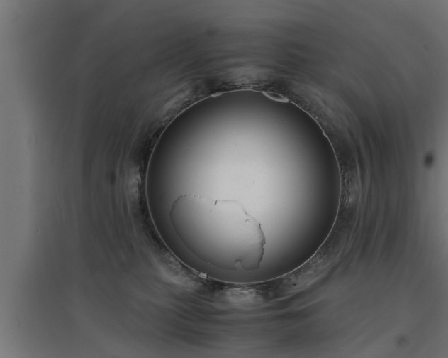 X0000094970279200712061435