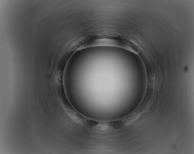 X0000094970280200712061435