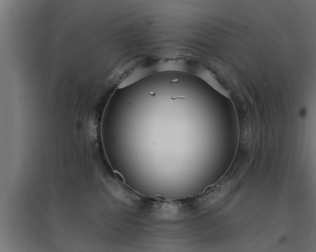 X0000094970282200712061435