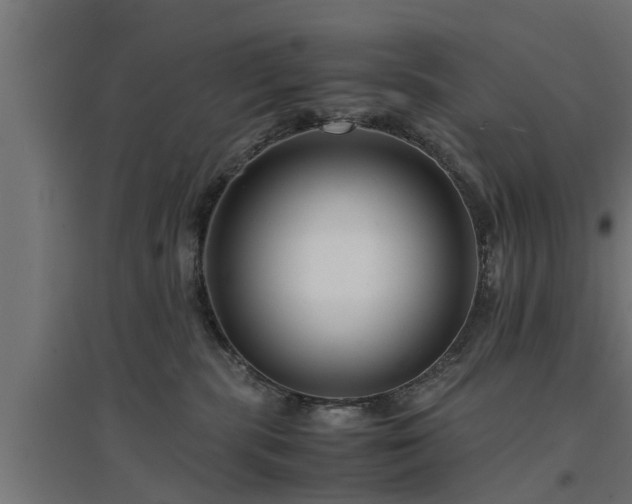 X0000094970283200712061435