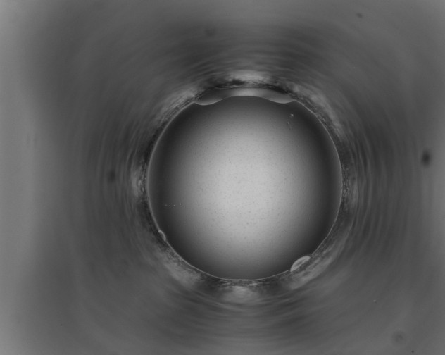 X0000094970285200712061435