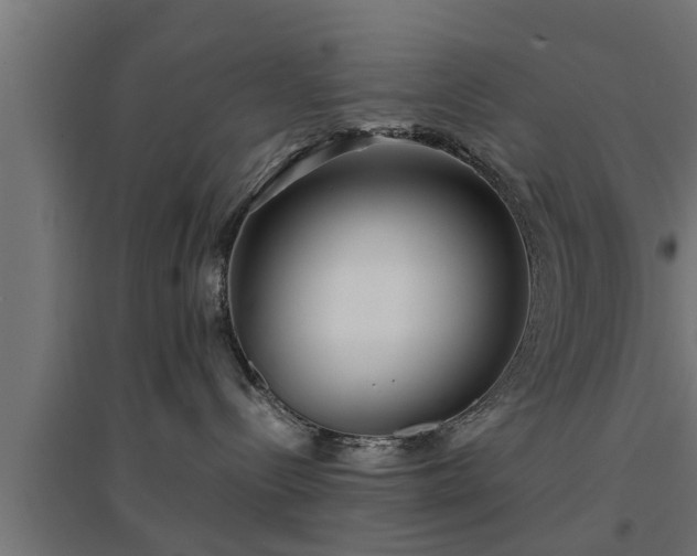 X0000094970288200712061435