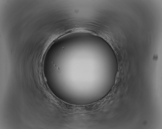 X0000094970289200712061434