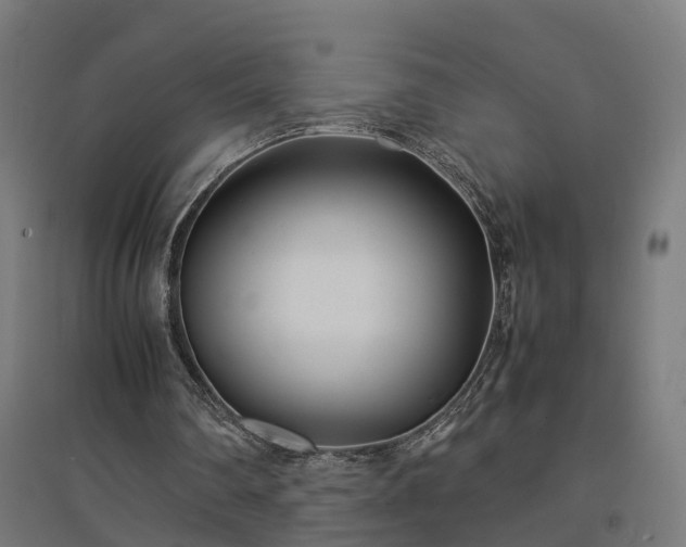 X0000094970290200712061434