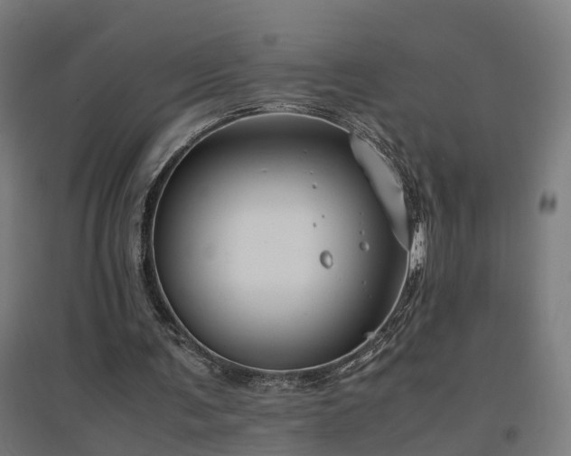 X0000094970291200712061434