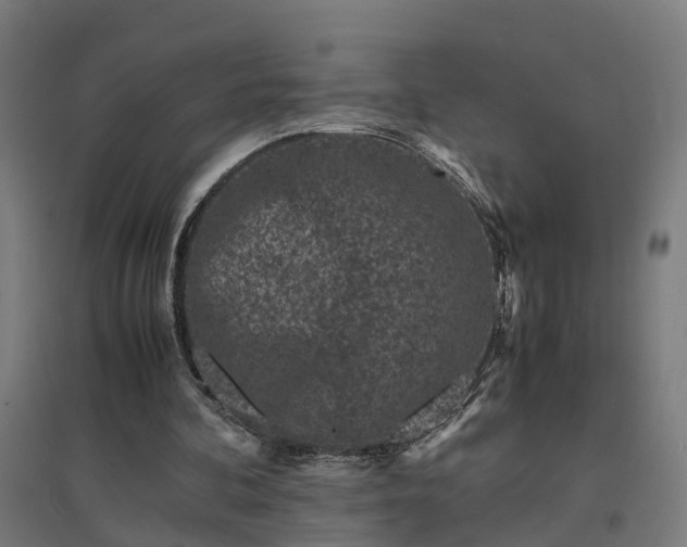 X0000094970292200712061434