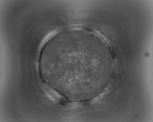 X0000094970293200712061434