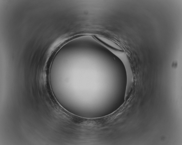 X0000094970294200712061434