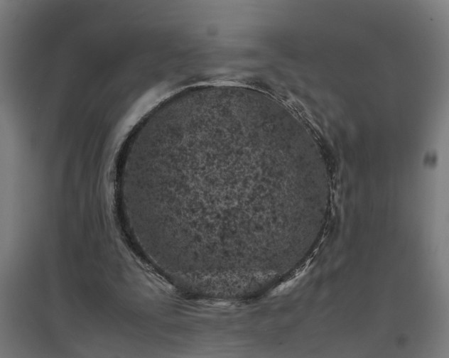 X0000094970295200712061434