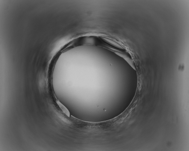 X0000094970296200712061434