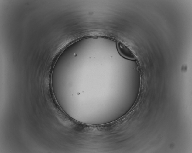 X0000094970297200712061434