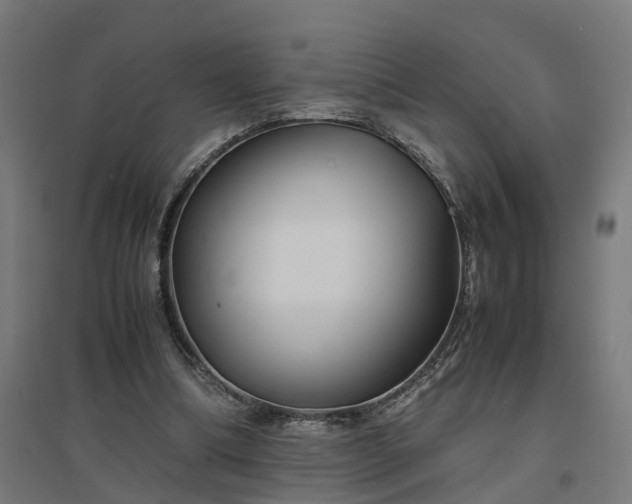 X0000094970298200712061434