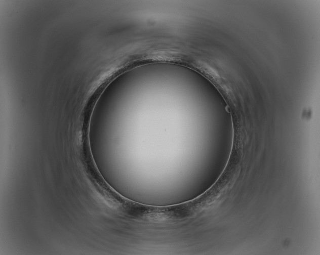 X0000094970299200712061434