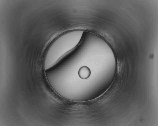 X0000094970300200712061434