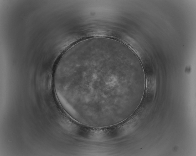 X0000094970301200712061434