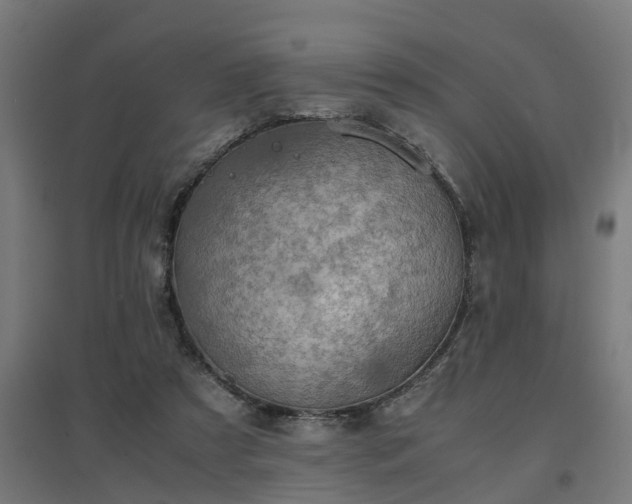 X0000094970305200712061434