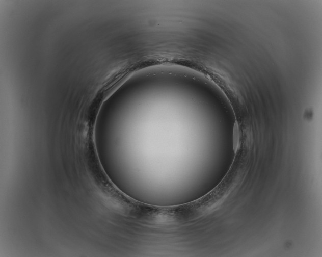 X0000094970308200712061434