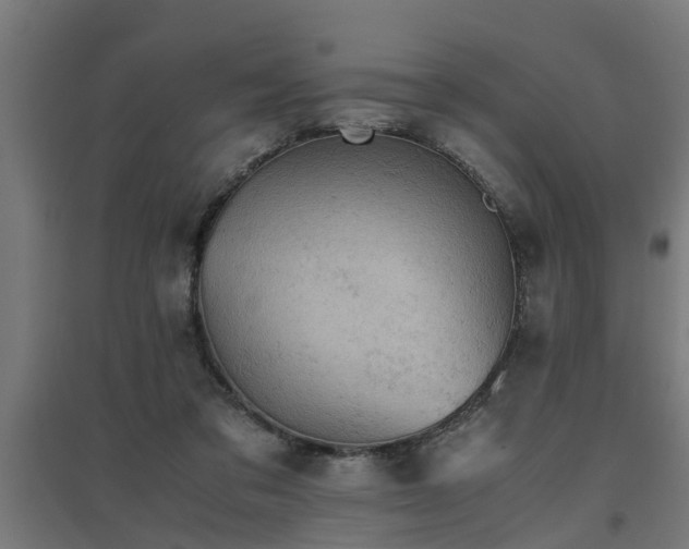 X0000094970309200712061434