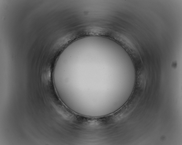 X0000094970310200712061434