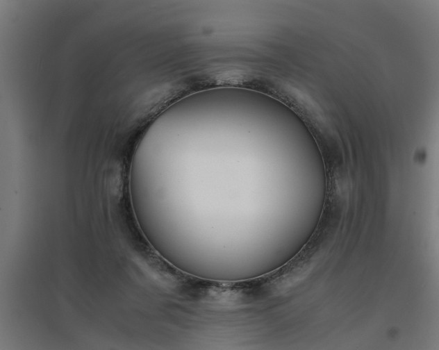 X0000094970311200712061434