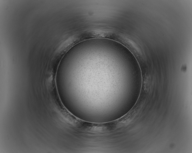 X0000094970314200712061434