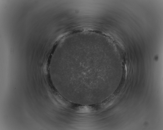 X0000094970316200712061434