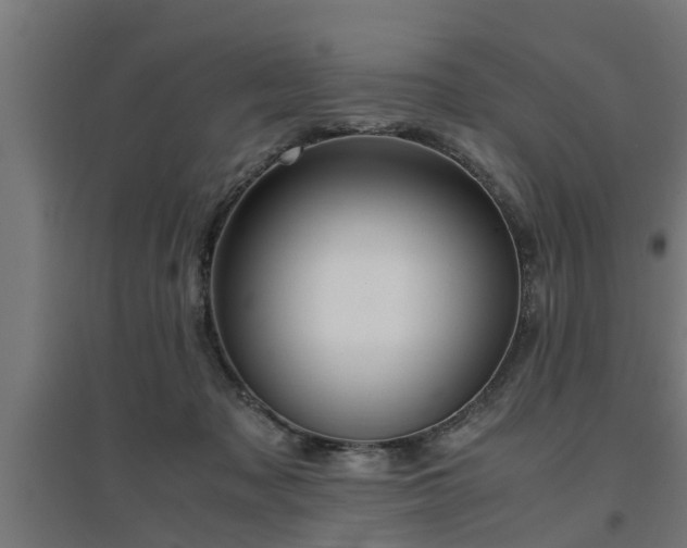 X0000094970317200712061434