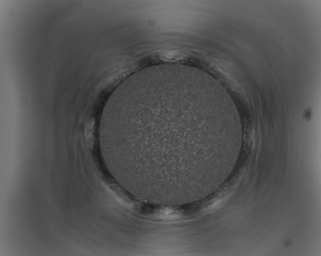 X0000094970319200712061434